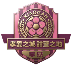 襄陽隊(duì)