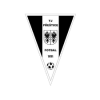 比爾森彼得林B隊(duì)